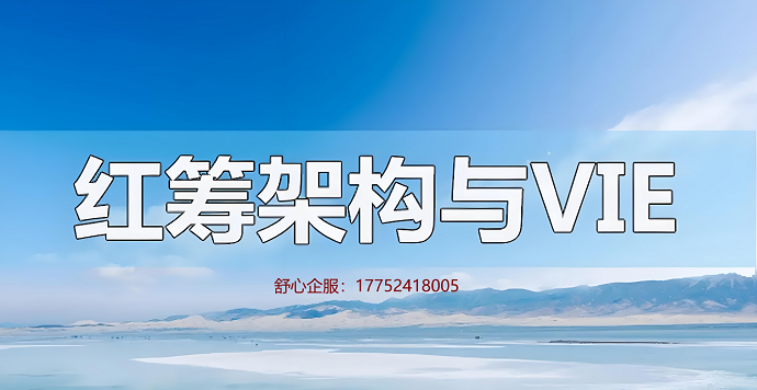 跨境電商ODI備案路徑：VIE架構與直接投資的優(yōu)劣對比